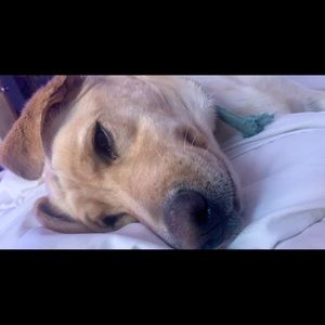 Meet your Posher, Emma